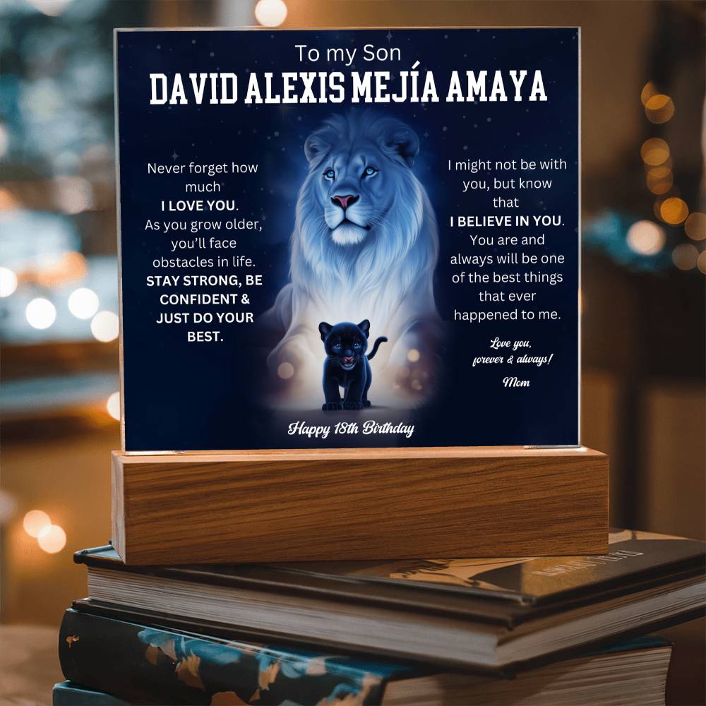 David Alexis Mejía Amaya