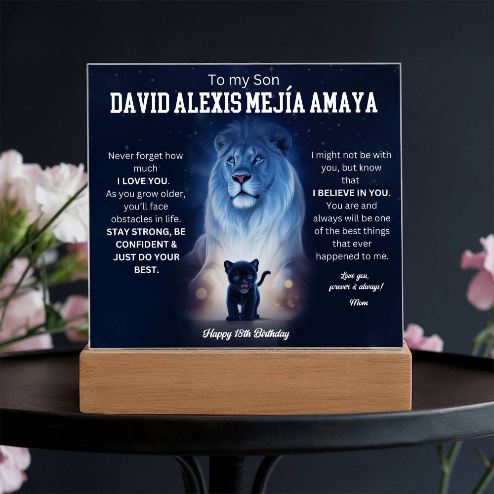 David Alexis Mejía Amaya