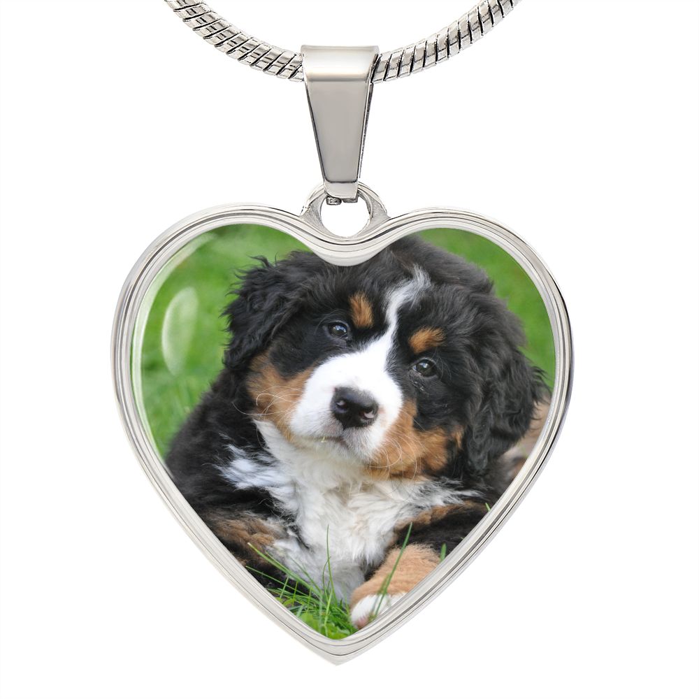 dog necklace