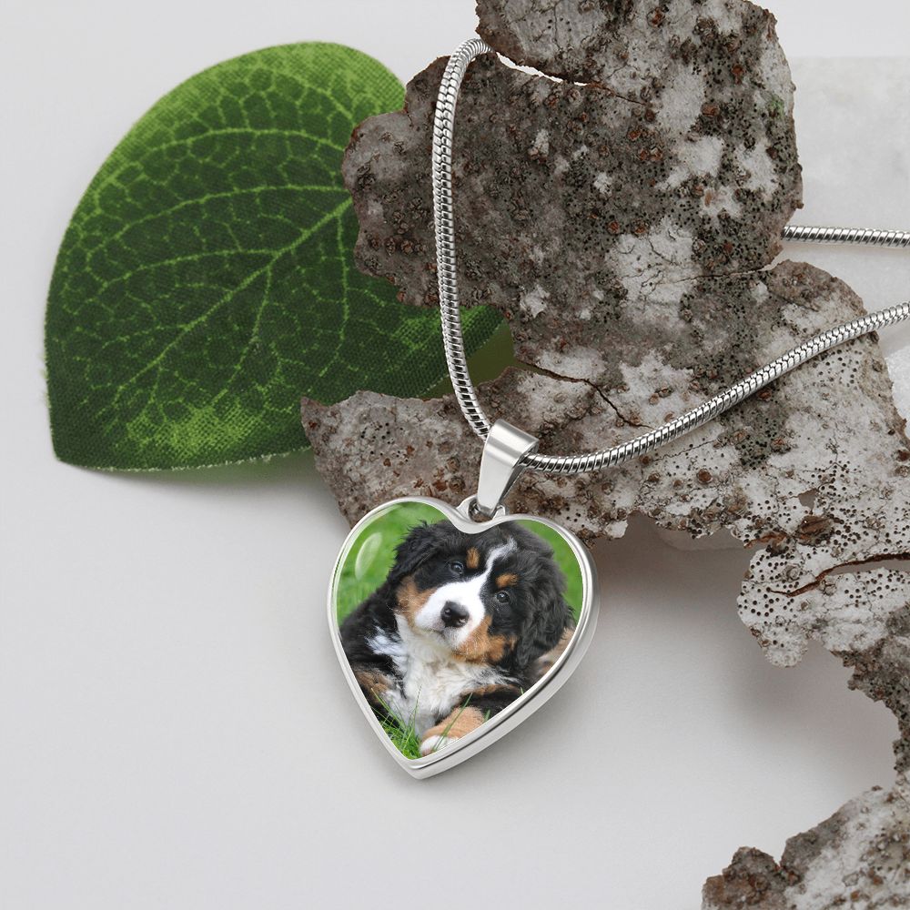 dog necklace