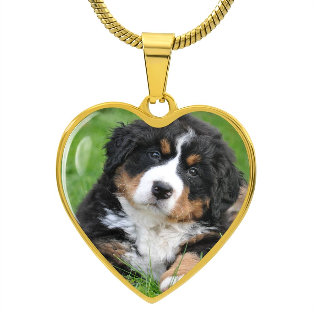 dog necklace
